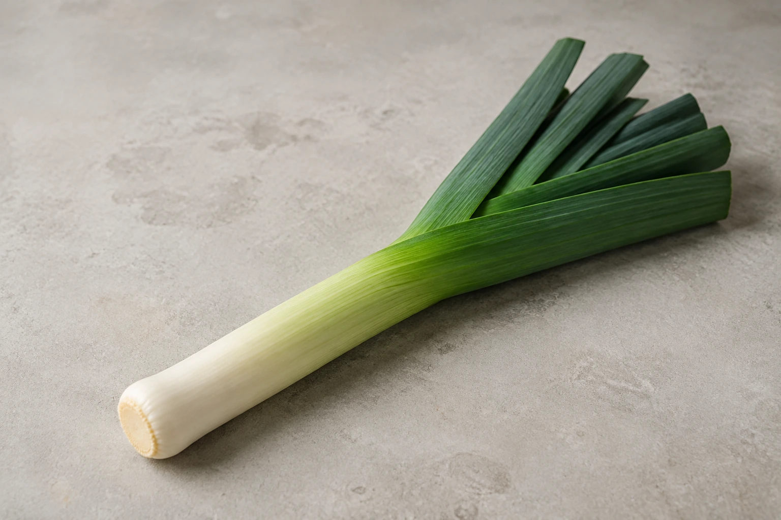 Lauch